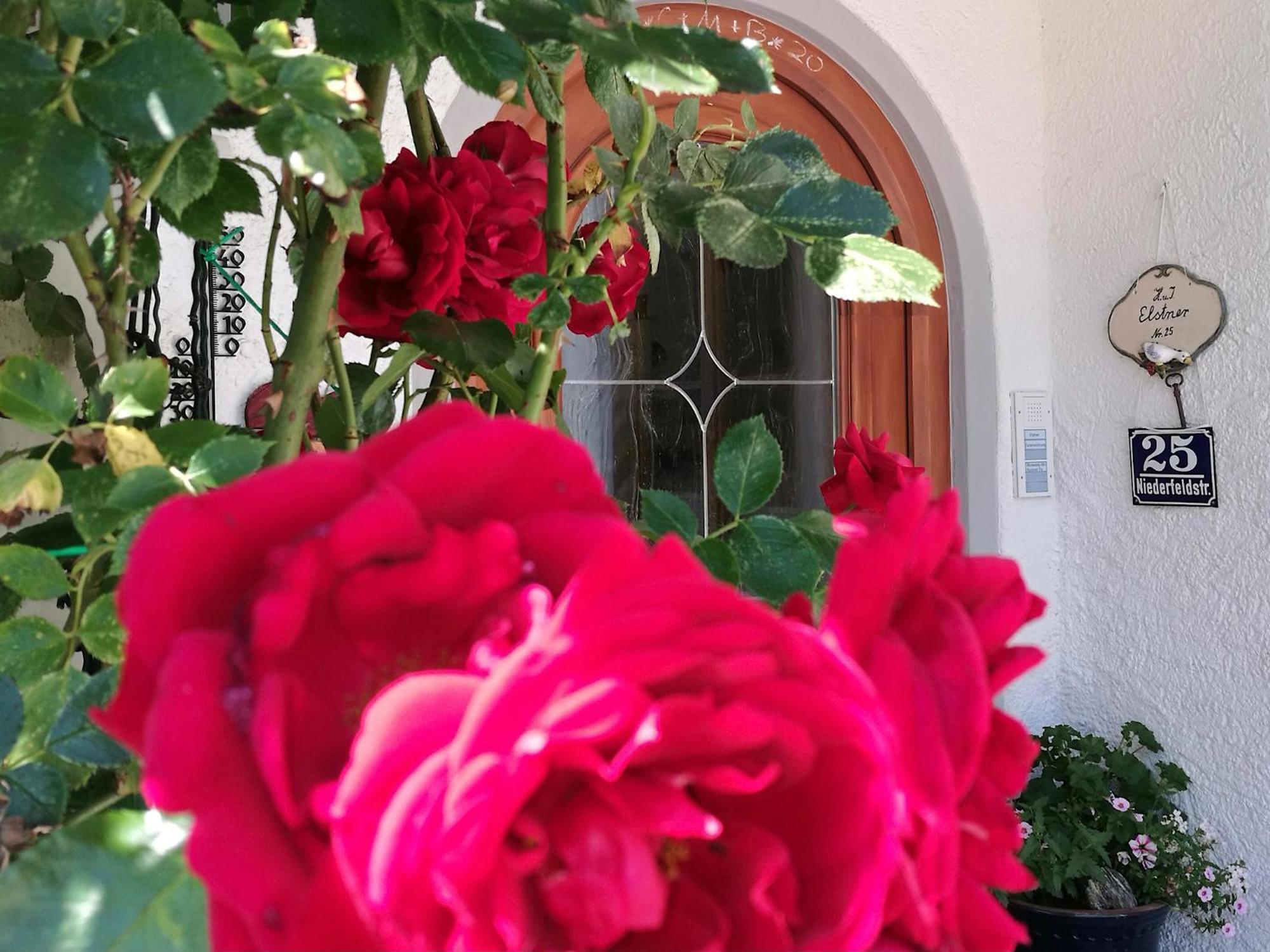 Ferienwohnung Eisenberger Inkl. Chiemgaukarte Ruhpolding Εξωτερικό φωτογραφία