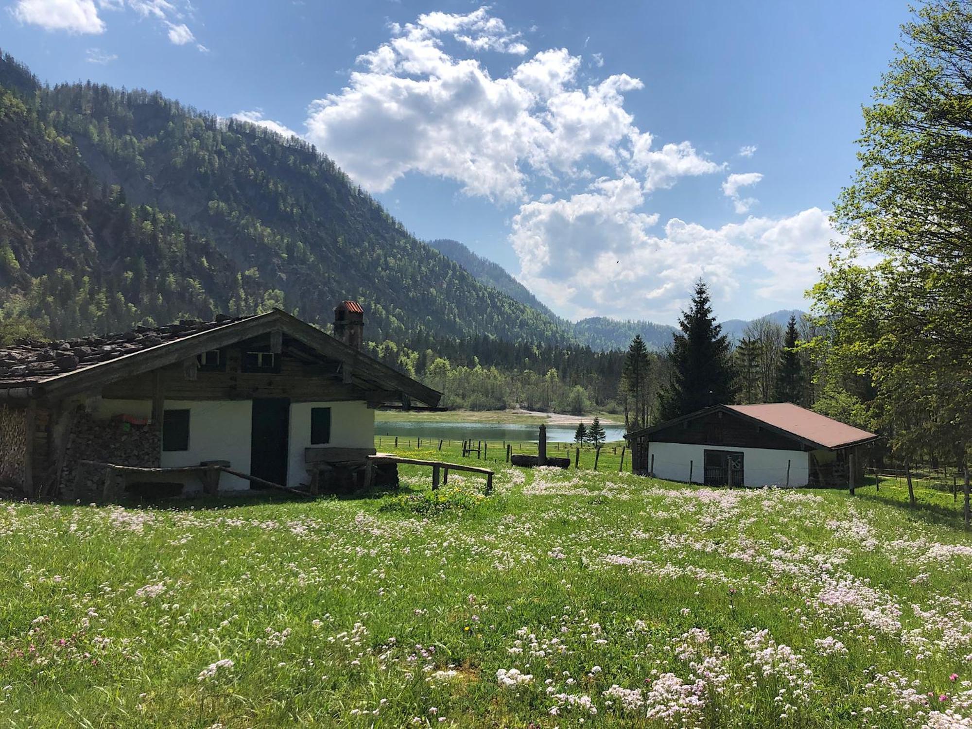 Ferienwohnung Eisenberger Inkl. Chiemgaukarte Ruhpolding Εξωτερικό φωτογραφία